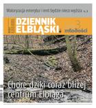 Dziennik Elbląski