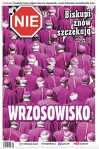 Tygodnik NIE